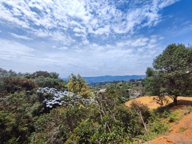 Lote en Vereda La Clara, Guarne