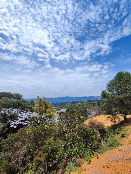 Lote en Vereda La Clara, Guarne