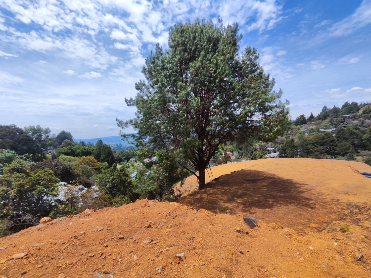 Lote en Vereda La Clara, Guarne